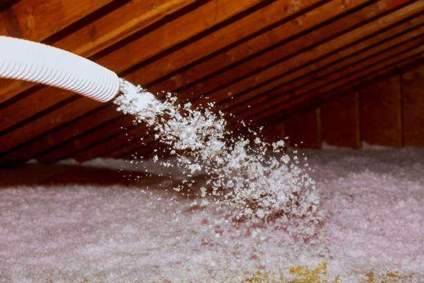 Best Energy Efficiency Insulation in Oak Hills Pce, LA