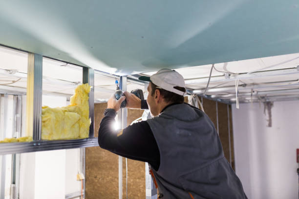 Types of Insulation We Offer in Oak Hills Place, LA